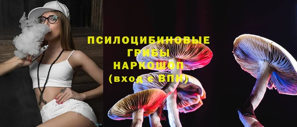 первитин Горнозаводск