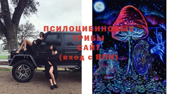 гашик Горно-Алтайск
