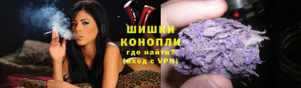 гашик Горно-Алтайск