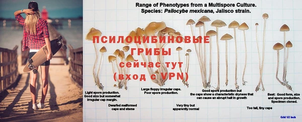 марихуана Вязники
