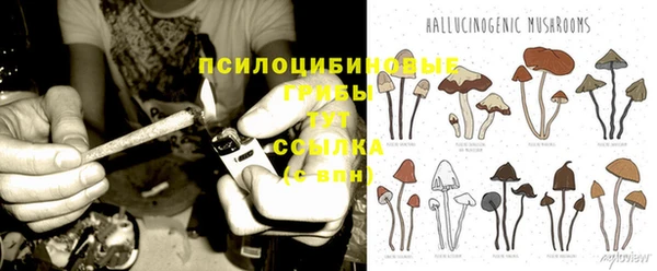 гашик Горно-Алтайск