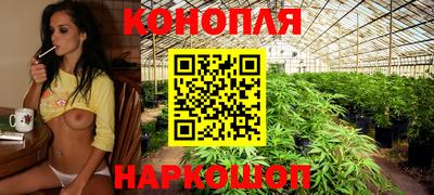 стаф Донской