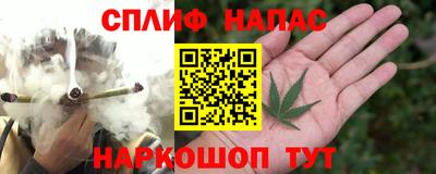 стаф Донской