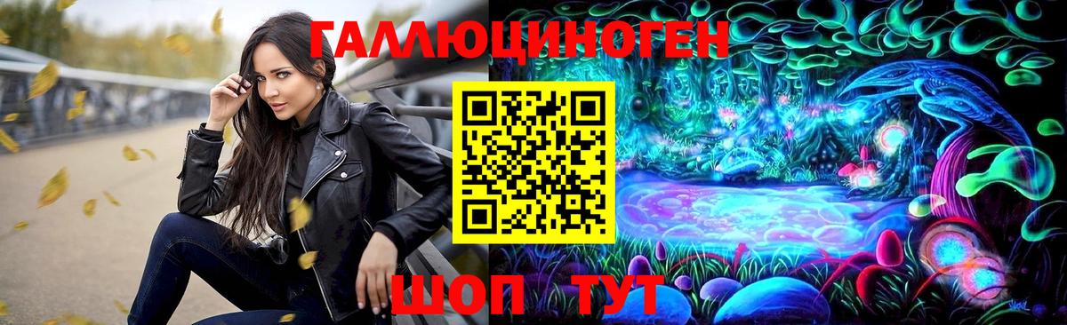 Дмитров  Псилоцибиновые грибы прущие грибы  Вход с VPN 