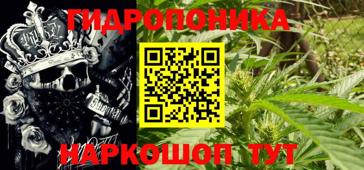 Марихуана сатива  Бошки марихуана ГИДРОПОН  Дмитров  Канабис планчик  Вход с VPN  Бошки Шишки Bruce Banner 